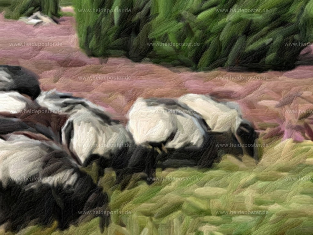 brushed_DSCN6434 | Poster aus der Lüneburger Heide - Realisiert mit Pictrs.com