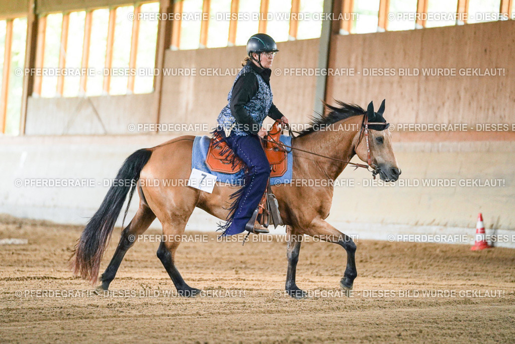 DSC05162 | Pferdegrafie