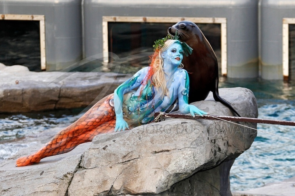 AnimalArt-SEELÖWE_0595 | #003 | Modell: Daniela | Foto: Tschiponnique Skupin - Realisiert mit Pictrs.com
