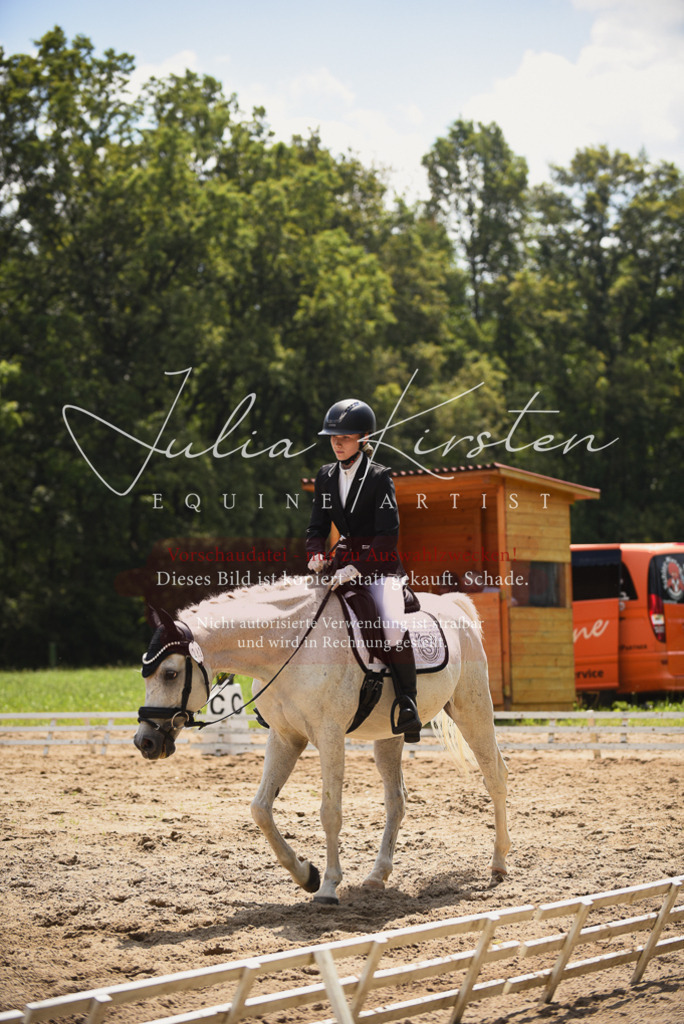 DSC_1143 | Pferde- und Turnierfotografie in Westsachsen. Pferdeportraits, Auftragszeichnungen und intuitive Kunst.