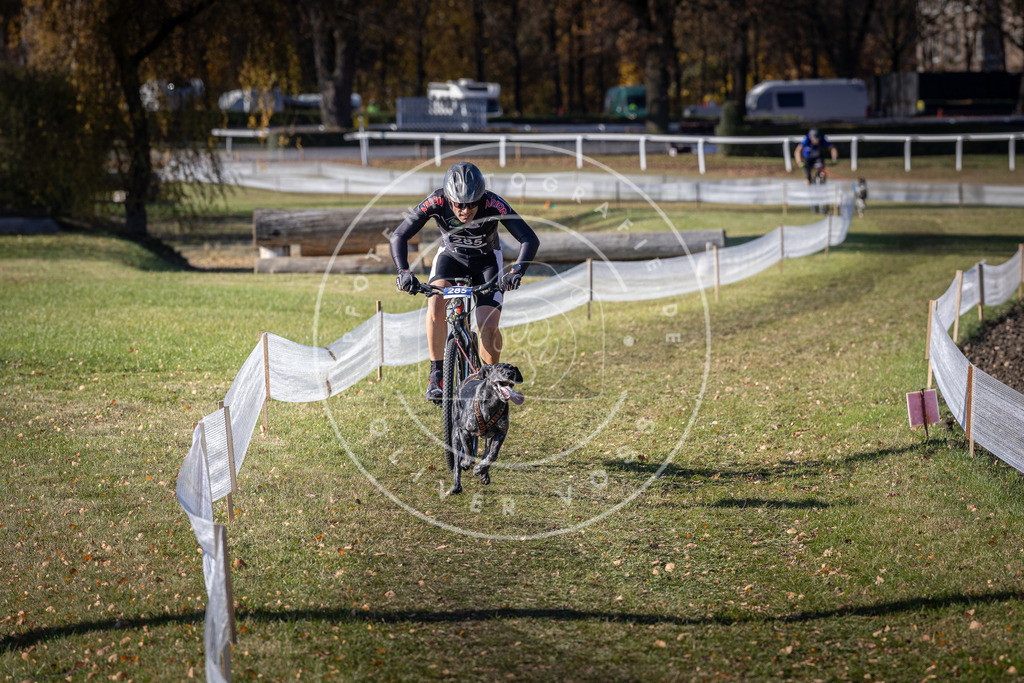 CaniXpix_DV3A5671 | Hundefotografie, Tierfotograf, Pfotenfotografie, Fotoshooting Hund, Hunde Portrait, Hundesport, Hundeportraits, Heideshooting, Hunde, Sportfotograf, Hundefotograf, Turnierhundsport, THS,  - Realisiert mit Pictrs.com