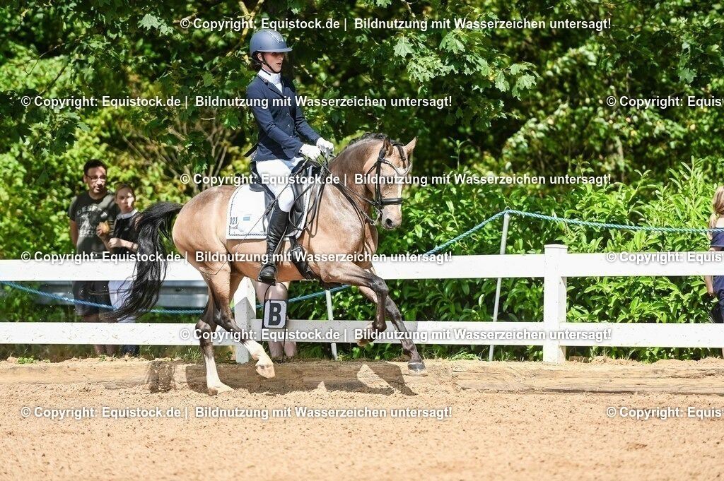 20230716_01_Dressurprüfung Kl.M_0227 | equistock