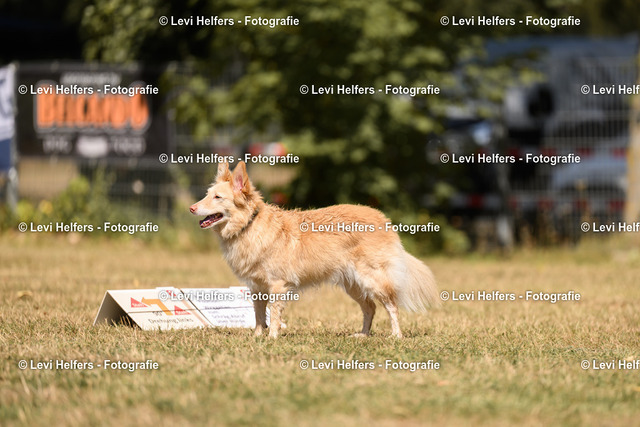 _DSC6012 | levihelfersfotografie