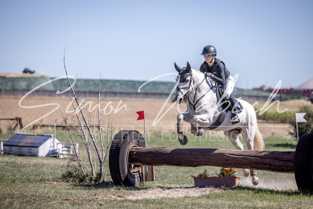 20260906-_3LI3993 | Tierfotografie Pferde, Hunde, Katzen, Haustiere.
Turnierfotografie Reitturniere, Reiten, Springreiten, Dressur in Hanau, dem Main-Kinzig-Kreis und dem Rhein-Main- Gebiet um Frankfurt