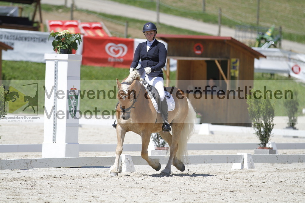 _MG_5233 | equestrian-live-com