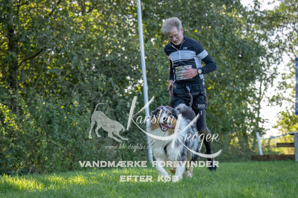 1036--2 | kk-dogfotos
