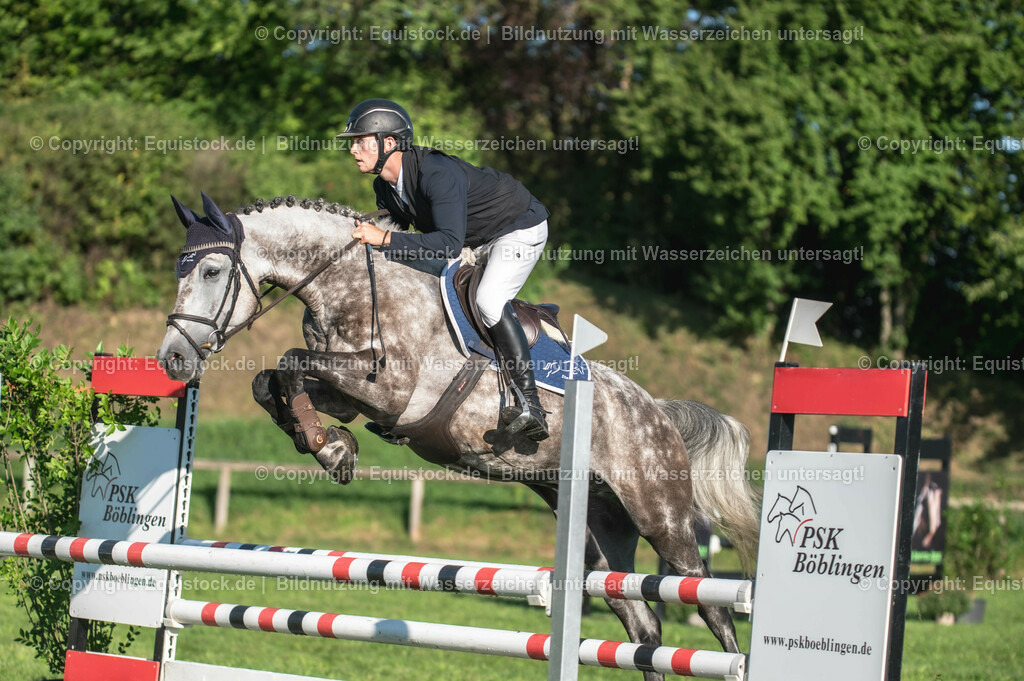 20230908_14-15_Springpferde-A_0017 | equistock