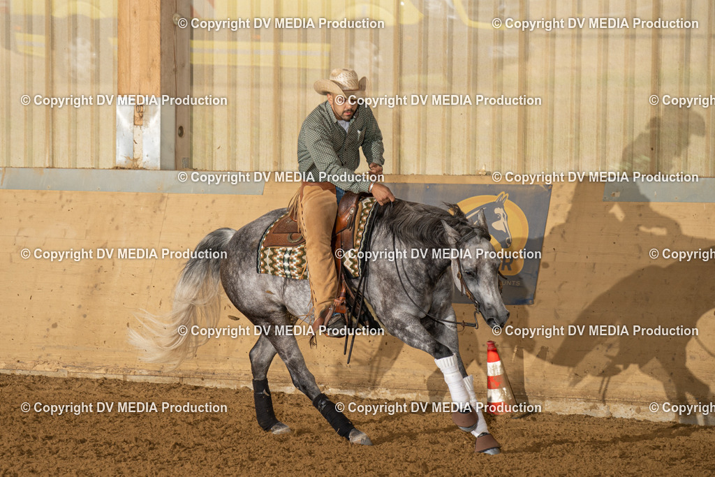 LAU00868 | dv-media-shop - Realisiert mit Pictrs.com