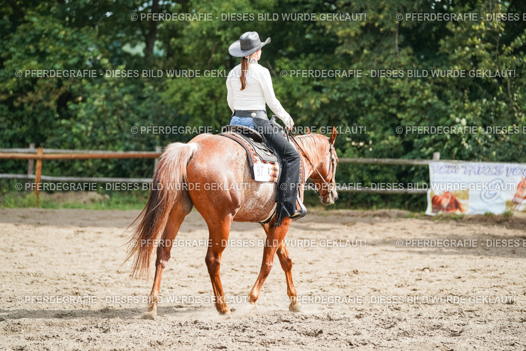 DSC04383 | Pferdegrafie