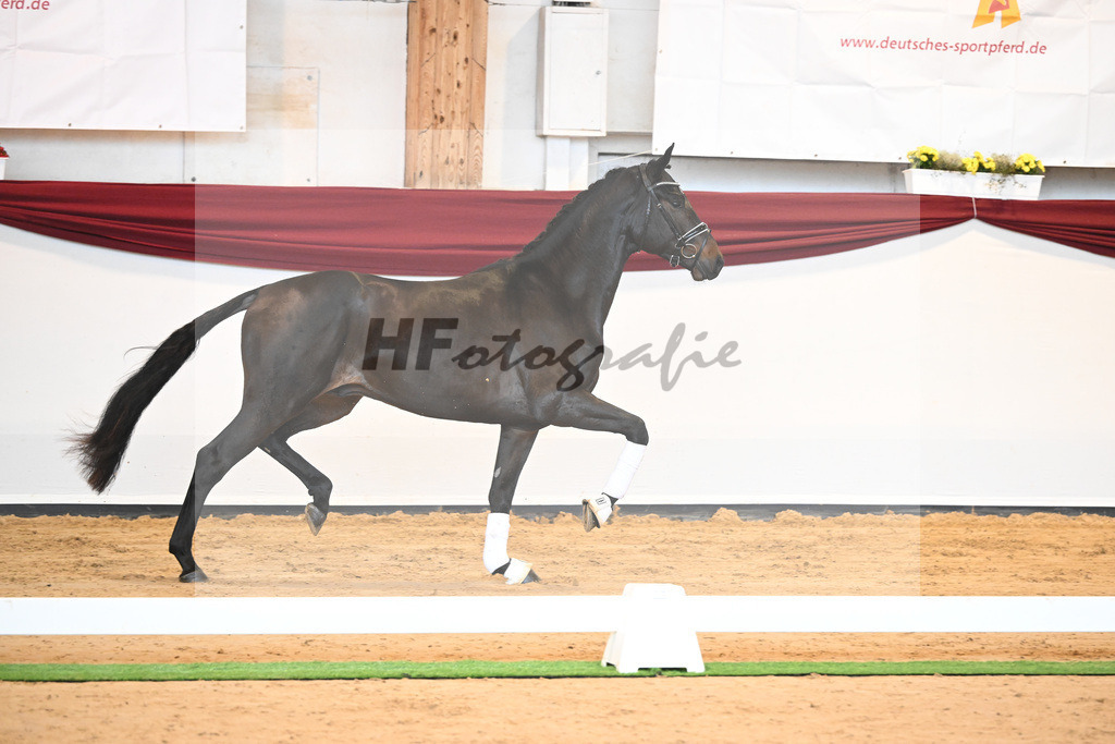 Kat-Nr. 40 v. Lord Europe_Bergmann_66221879 | hf-fotografie - Realisiert mit Pictrs.com