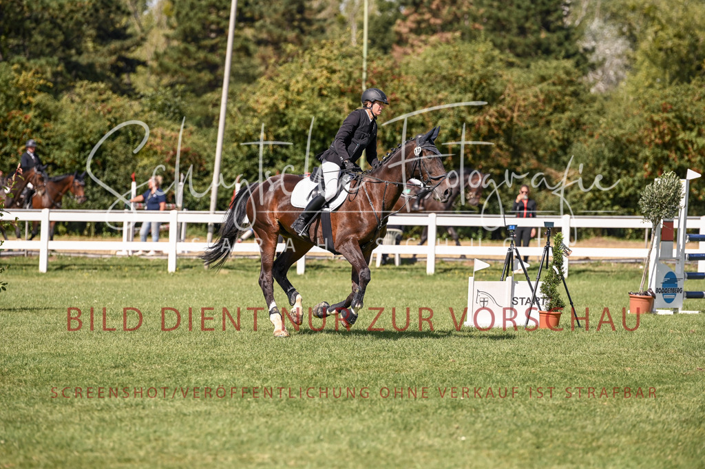 Schugtsche-Düren.2024-09.Springprf.L-120 | Schugtsche Fotografie - Realisiert mit Pictrs.com