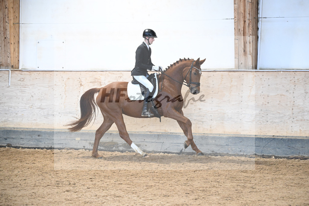 Kat-Nr. 10 Weissenas Valentina v. Va Bene_Eder_50250392 | hf-fotografie - Realizzato con Pictrs.com