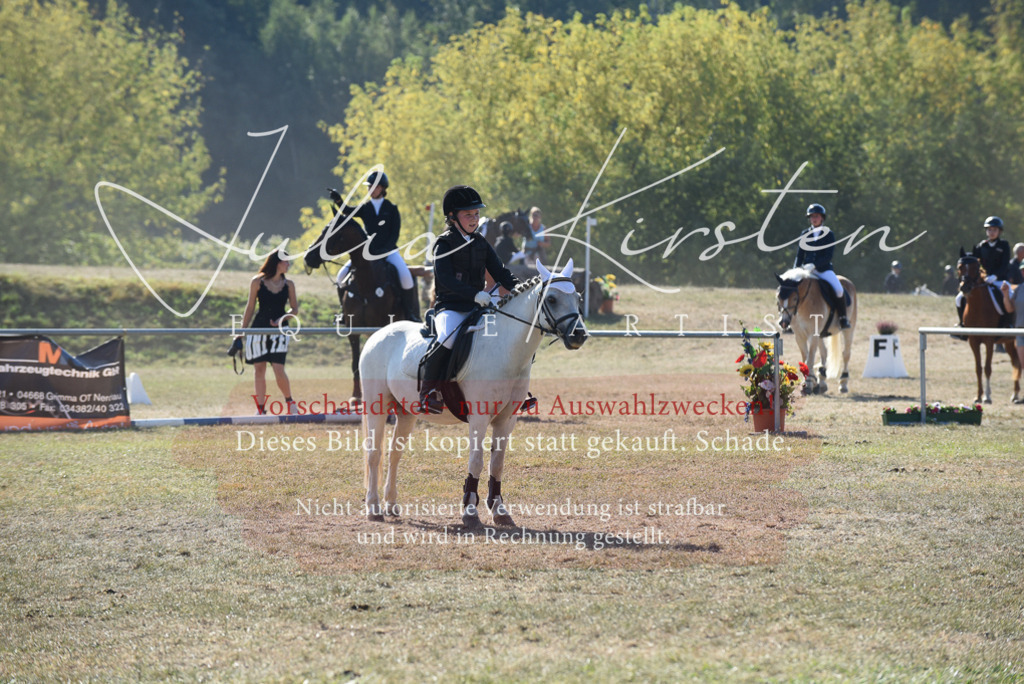 DSC_5907 | Pferde- und Turnierfotografie in Westsachsen. Pferdeportraits, Auftragszeichnungen und intuitive Kunst.