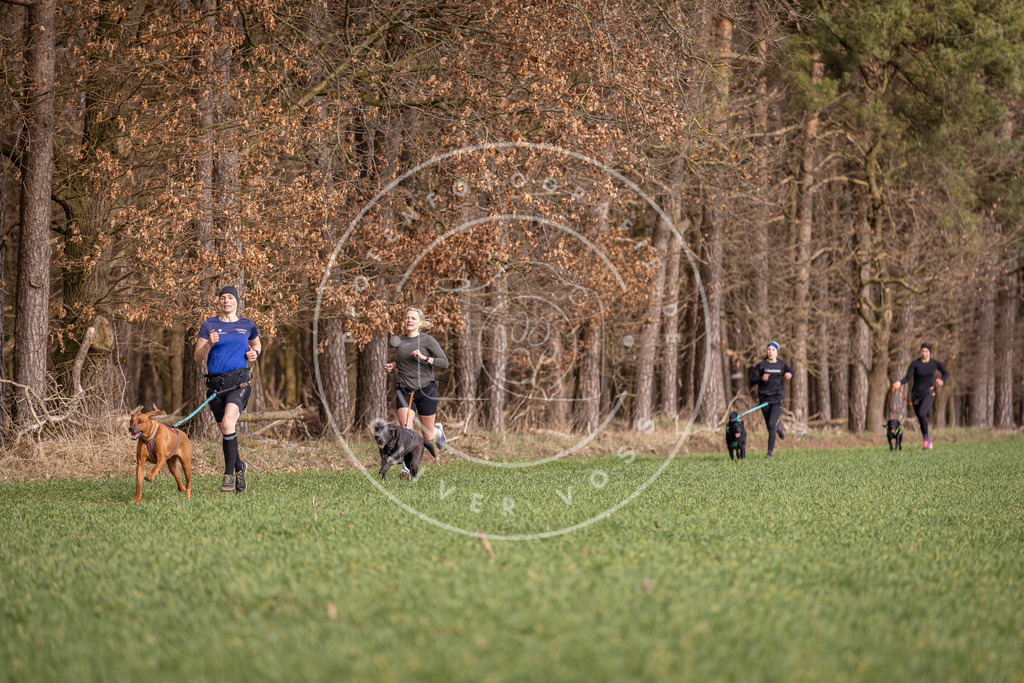 DV3A6042 | Hundefotografie, Tierfotograf, Pfotenfotografie, Fotoshooting Hund, Hunde Portrait, Hundesport, Hundeportraits, Heideshooting, Hunde, Sportfotograf, Hundefotograf, Turnierhundsport, THS,  - Realisiert mit Pictrs.com