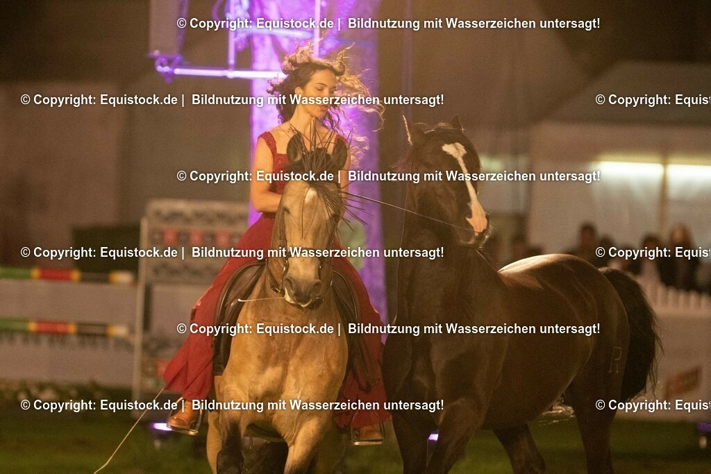 20230526_Pferdenacht_1401 | equistock