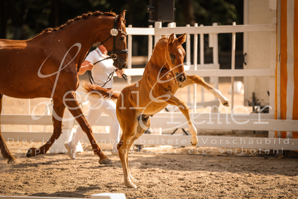 09.DoWBD00089 | Leoni Ertmer Photography - Realisiert mit Pictrs.com