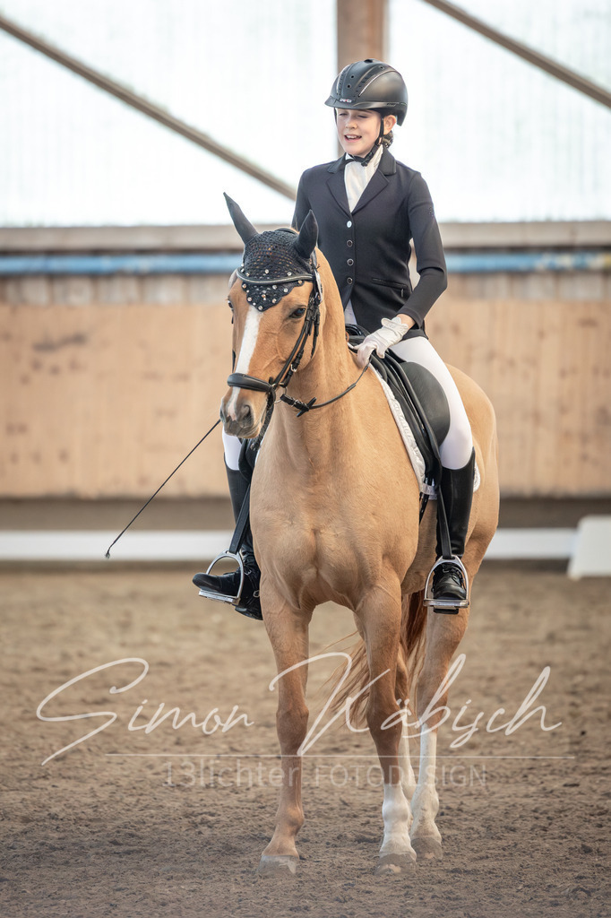 20251011-_3LI6677 | Tierfotografie Pferde, Hunde, Katzen, Haustiere.
Turnierfotografie Reitturniere, Reiten, Springreiten, Dressur in Hanau, dem Main-Kinzig-Kreis und dem Rhein-Main- Gebiet um Frankfurt