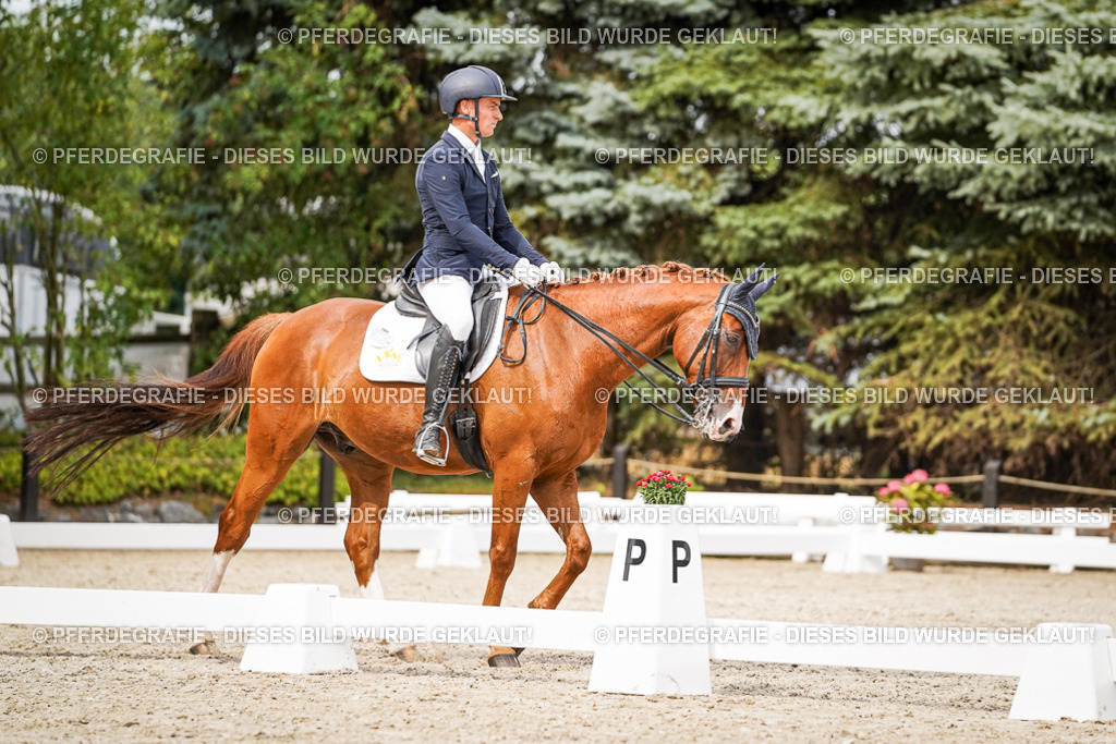 DSC06950 | Pferdegrafie