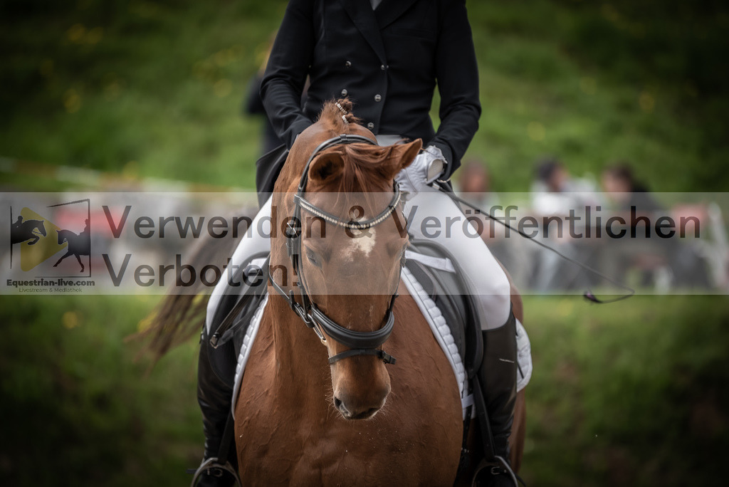 DSC_2540 | equestrian-live-com