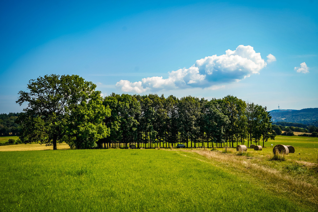 Der Wolken Kuss - Grebenhain | Auf der Hügelkuppe über Grebenhain berühren die tiefhängenden Wolken aufstrebende Baumwipfel. Im Schatten der grünen Riesen laden goldene Strohballen die Wandernden auf dem Bergmähwiesenpfad zum Verweilen ein. Manchmal lohnt es sich, innezuhalten und die Kreation der Natur auf den Geist wirken zu lassen. - Realisiert mit Pictrs.com