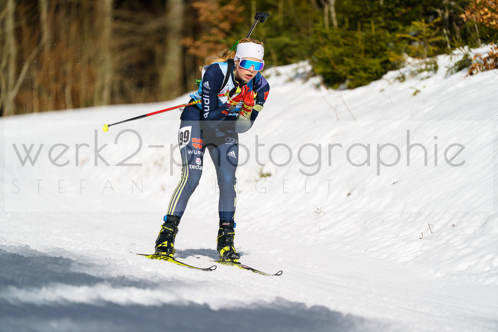 FESA Alpencup / DP Notschrei | Deutschland Pokal Finale im Schwarzwald NORDIC-CENTER Notschrei am 7. - 8. Februar 2026