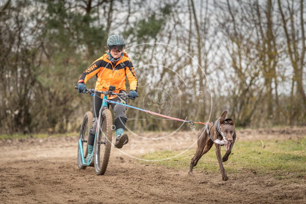 Pfotenfotografie_DV3A9438 | Hundefotografie, Tierfotograf, Pfotenfotografie, Fotoshooting Hund, Hunde Portrait, Hundesport, Hundeportraits, Heideshooting, Hunde, Sportfotograf, Hundefotograf, Turnierhundsport, THS,  - Realisiert mit Pictrs.com