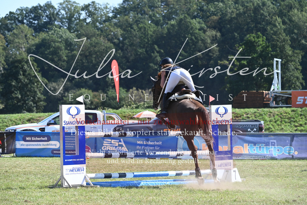 DSC_6468 | Pferde- und Turnierfotografie in Westsachsen. Pferdeportraits, Auftragszeichnungen und intuitive Kunst.