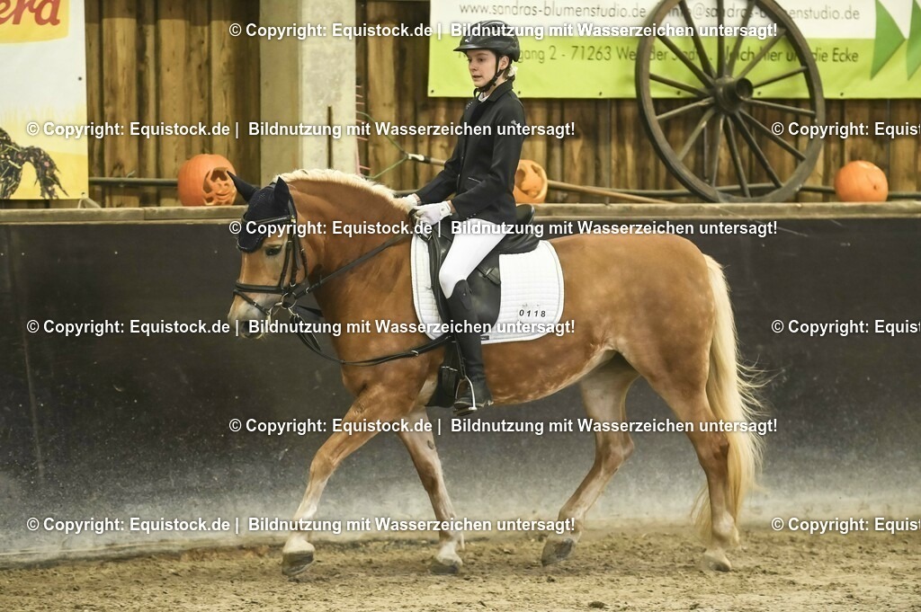 20231029_04_Dressur-WB_0281 | Foto: Thomas Hartig