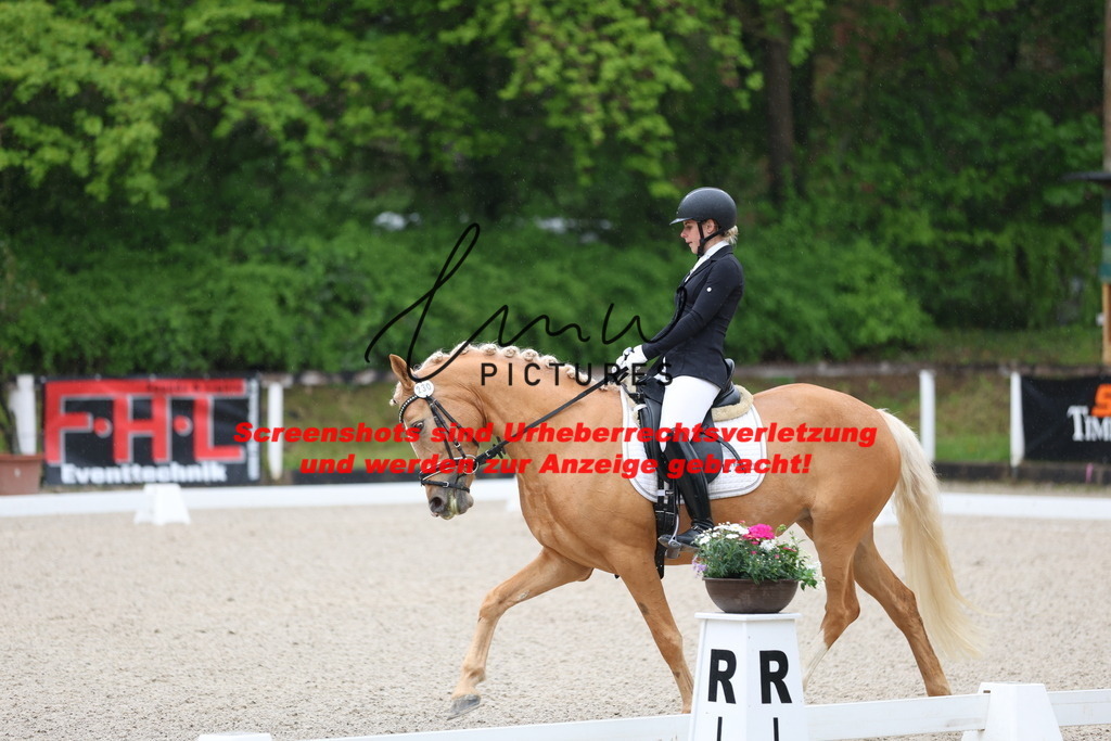 A40A7056 | lmwpictures - Realisiert mit Pictrs.com