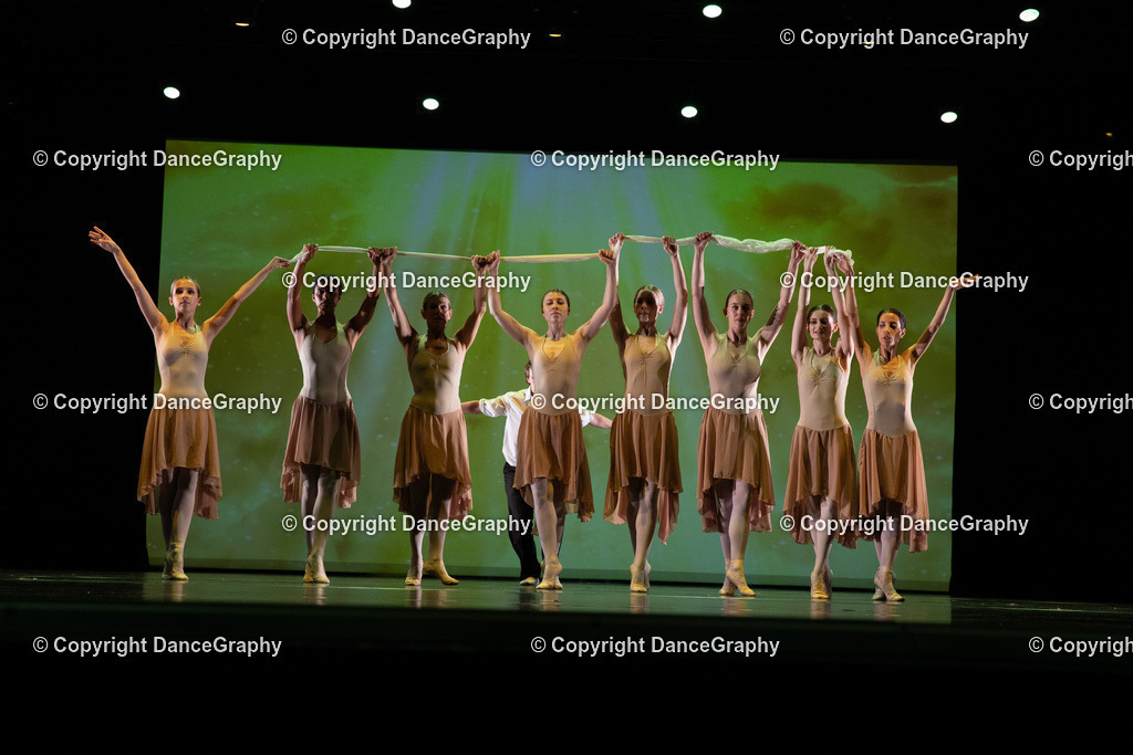 GPHY6320 | DanceGraphy - Realisiert mit Pictrs.com