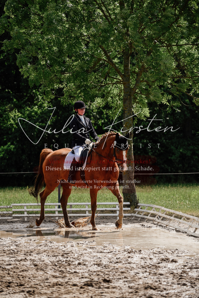 DSC_0652 | Pferde- und Turnierfotografie in Westsachsen. Pferdeportraits, Auftragszeichnungen und intuitive Kunst.