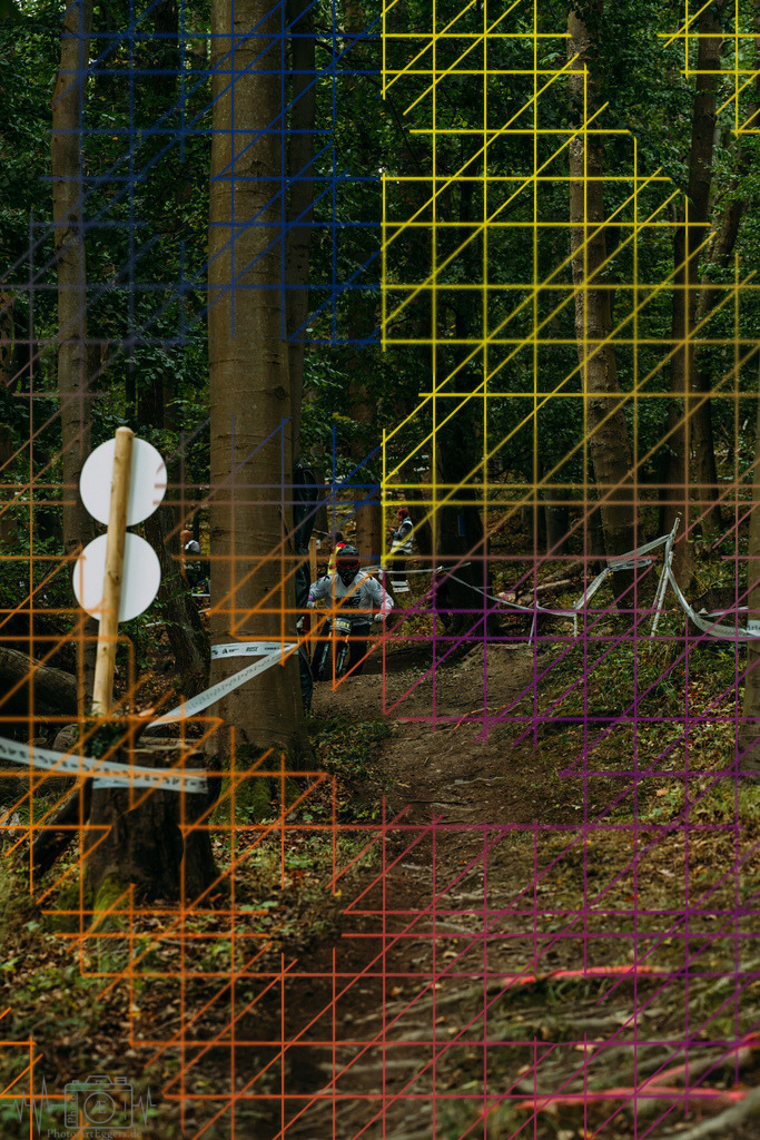 PAE-0229 | Einzigartige Fotokunst für dein Zuhause: Entdecke hochwertige Wandbilder, edle Prints und emotionale Motive von Wildlife, Natur und Landschaften - Realisiert mit Pictrs.com
