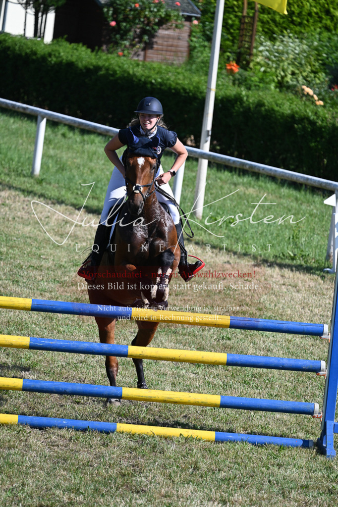 DSC_2080 | Pferde- und Turnierfotografie in Westsachsen. Pferdeportraits, Auftragszeichnungen und intuitive Kunst.