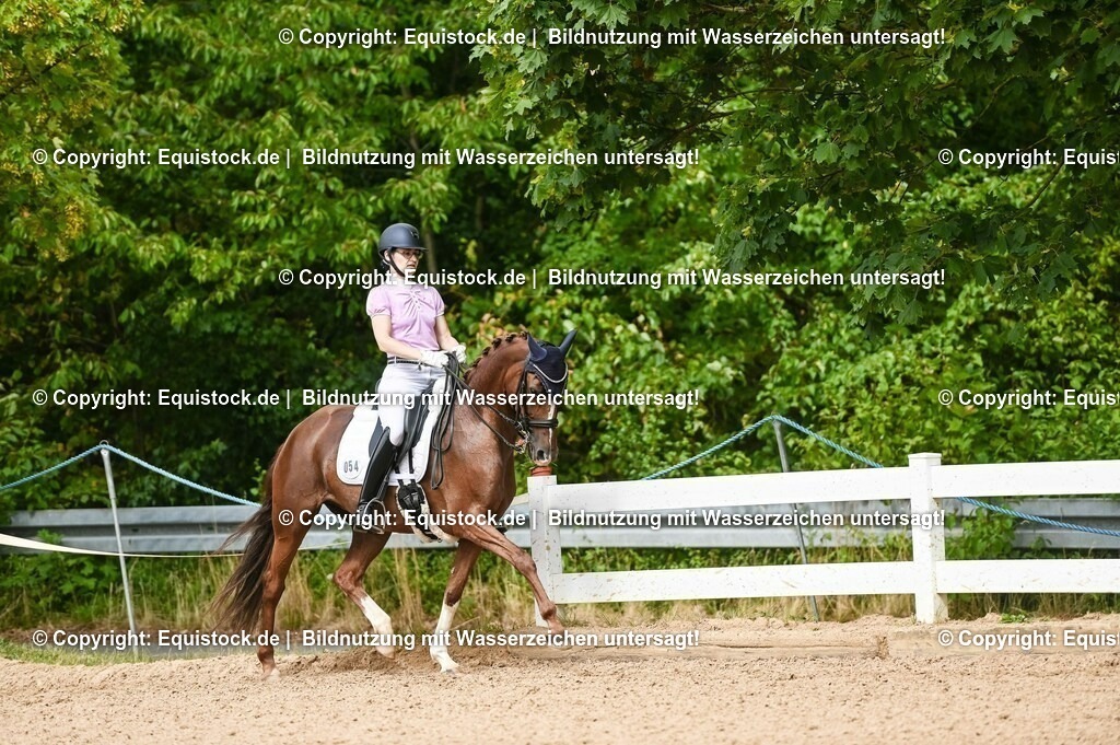 20230716_01_Dressurprüfung Kl.M_0379 | equistock