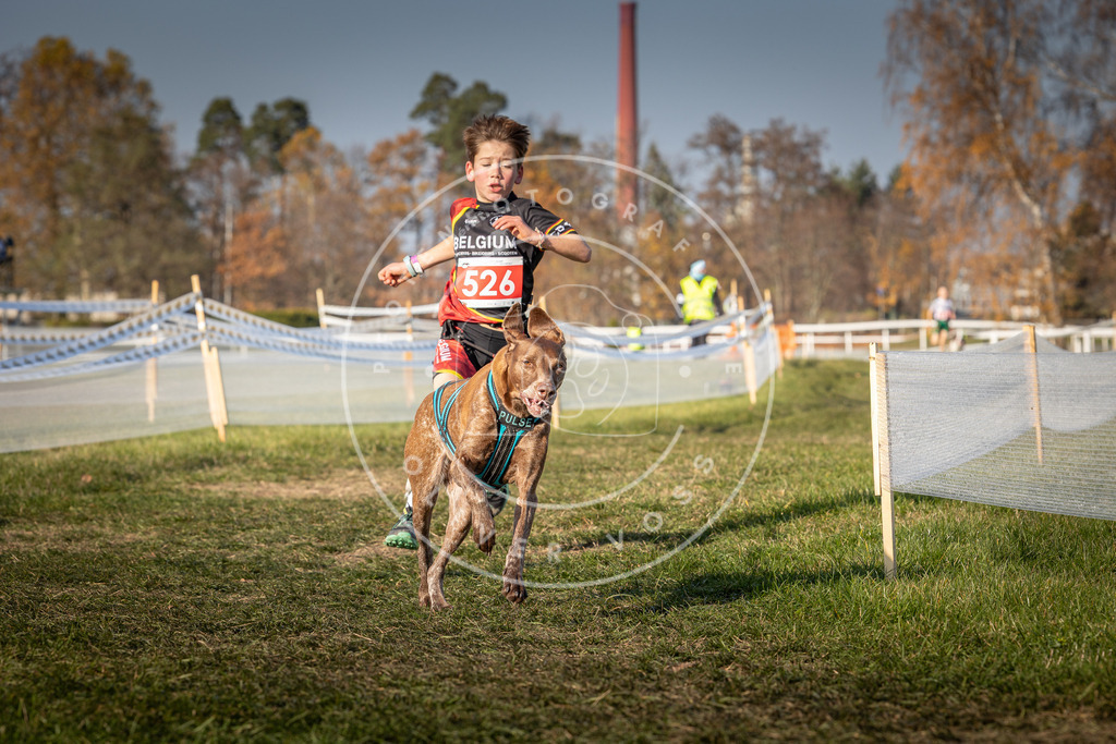 CaniXpix_0L8A8843 | Hundefotografie, Tierfotograf, Pfotenfotografie, Fotoshooting Hund, Hunde Portrait, Hundesport, Hundeportraits, Heideshooting, Hunde, Sportfotograf, Hundefotograf, Turnierhundsport, THS,  - Realisiert mit Pictrs.com