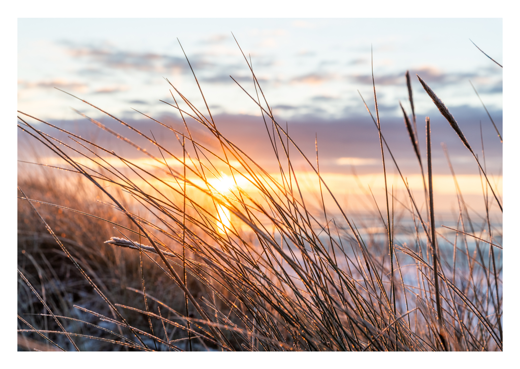 Motiv 106 | Eilun-Art-Fotografie Levke Martens, ihre Fotografin für Immobilien- und Landschaftsfotografie auf Föhr, Föhrer Motive als Poster, Leinwand, hinter Acrylglas oder stelle dir deinen eigenen Monatskalender zusammen, mit nur einem Klick