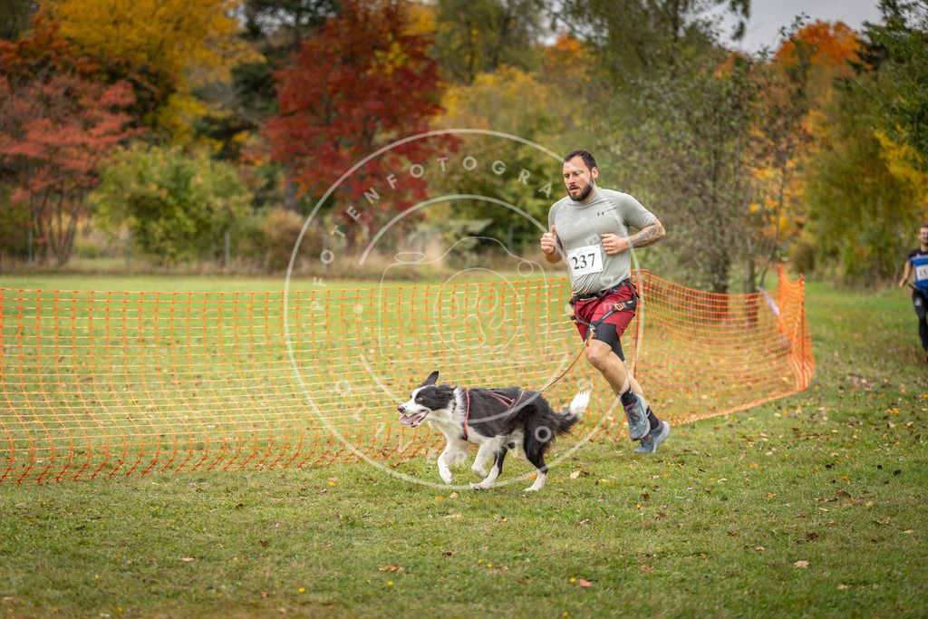 Pfotenfotografie_DV3A4329 | Hundefotografie, Tierfotograf, Pfotenfotografie, Fotoshooting Hund, Hunde Portrait, Hundesport, Hundeportraits, Heideshooting, Hunde, Sportfotograf, Hundefotograf, Turnierhundsport, THS,  - Realisiert mit Pictrs.com