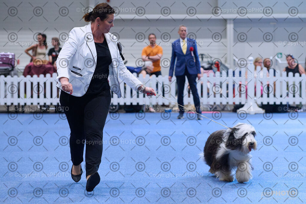 202406_ÖKV-IHA-Tulln24_DSC_3799 | proPHOTO - Realisiert mit Pictrs.com