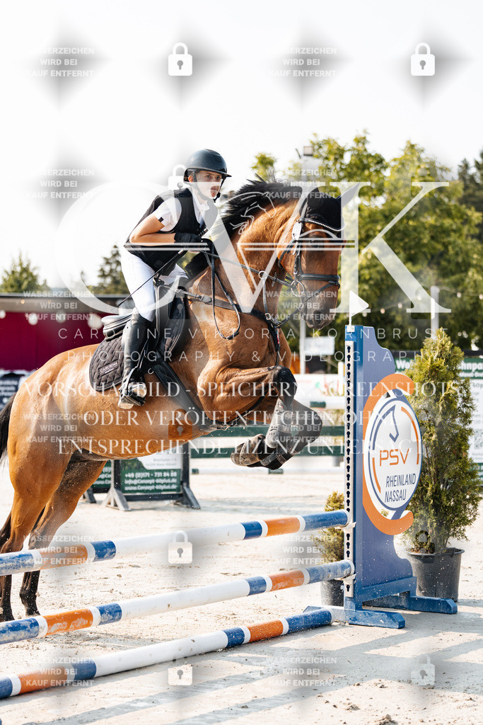 CK902712 | Turnierfotografie Pferdefotografie Trier Rheinland-Pfalz Pferdesport Reitsport Tierfotografie Sportfotografie Pferdevideo Pferdevideografie Equestrianvideography equestrianphotography  - Realisiert mit Pictrs.com