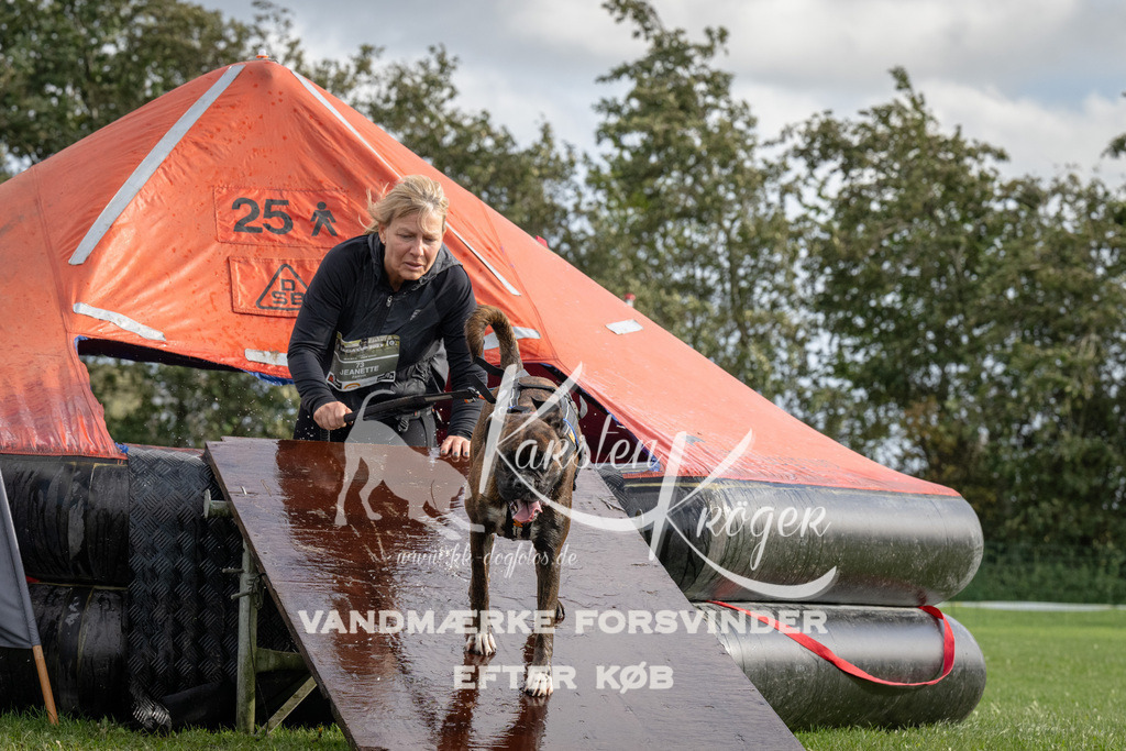 1421-94045 | kk-dogfotos