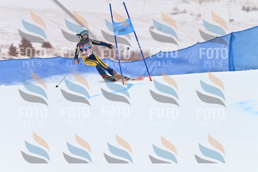 BGV_3084 | holidayphoto