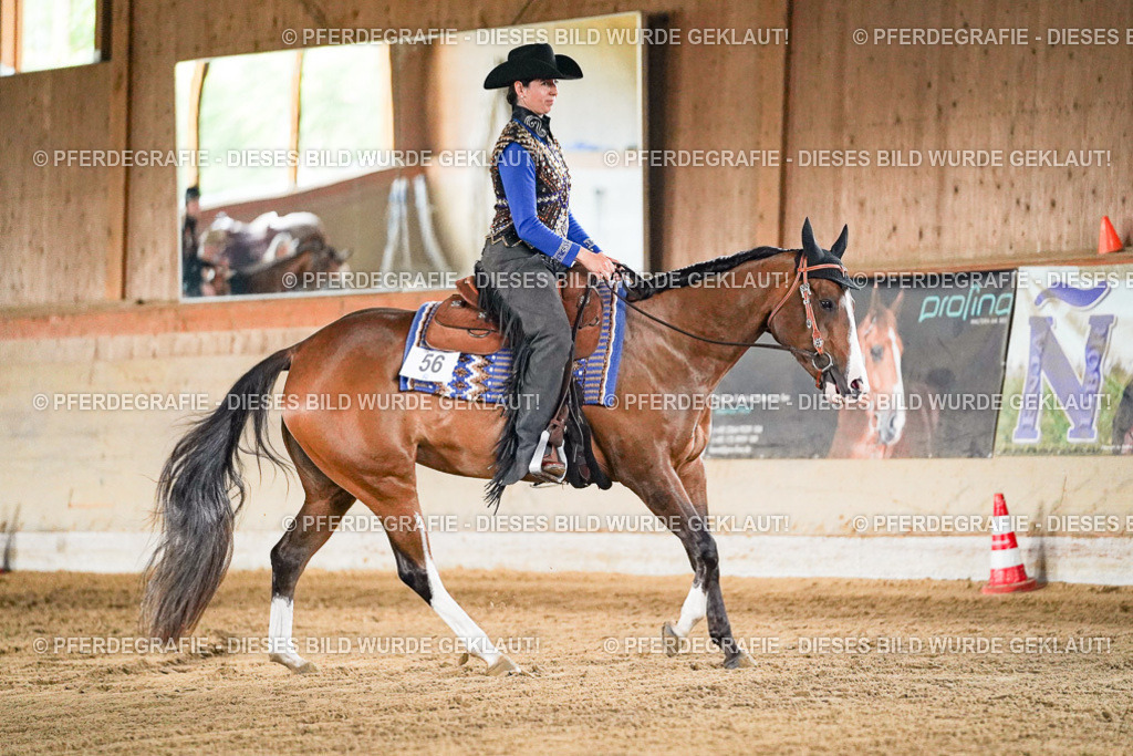 DSC05630 | Pferdegrafie