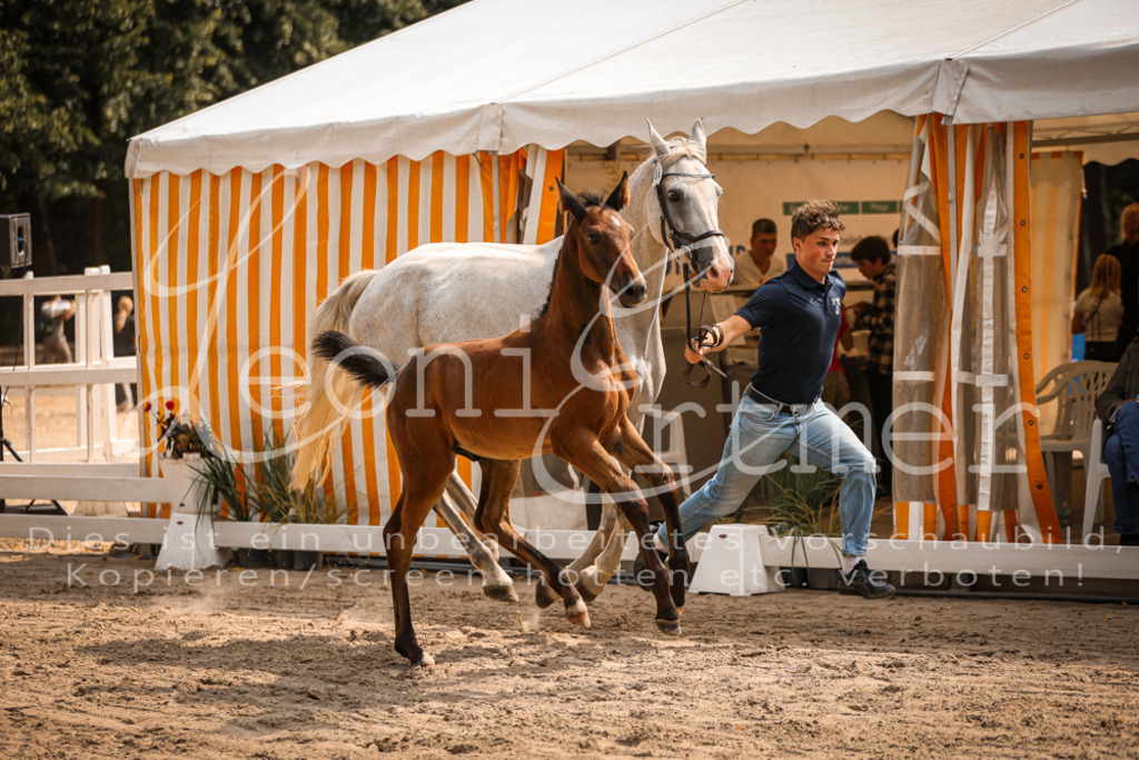 07.DoWBS00094 | Leoni Ertmer Photography - Realisiert mit Pictrs.com