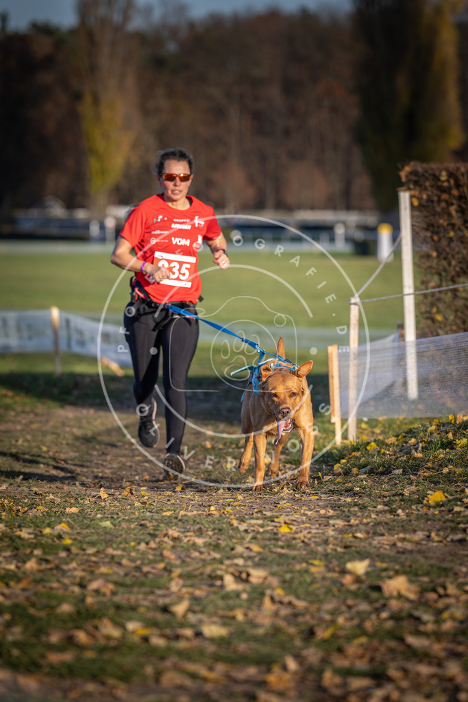 CaniXpix_DV3A3546 | Hundefotografie, Tierfotograf, Pfotenfotografie, Fotoshooting Hund, Hunde Portrait, Hundesport, Hundeportraits, Heideshooting, Hunde, Sportfotograf, Hundefotograf, Turnierhundsport, THS,  - Realisiert mit Pictrs.com