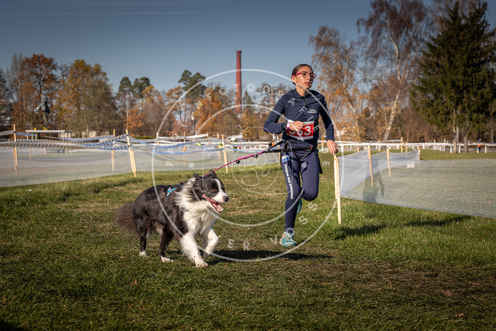 CaniXpix_0L8A7954 | Hundefotografie, Tierfotograf, Pfotenfotografie, Fotoshooting Hund, Hunde Portrait, Hundesport, Hundeportraits, Heideshooting, Hunde, Sportfotograf, Hundefotograf, Turnierhundsport, THS,  - Realisiert mit Pictrs.com