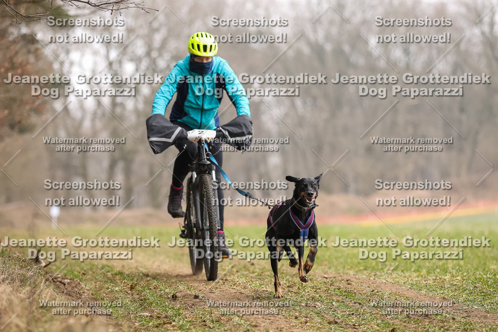 Dog Paparazzi - Plate 2026-67 | Dog Paparazzi Jeanette Grottendiek Fotografie & Videografie - Realisiert mit Pictrs.com