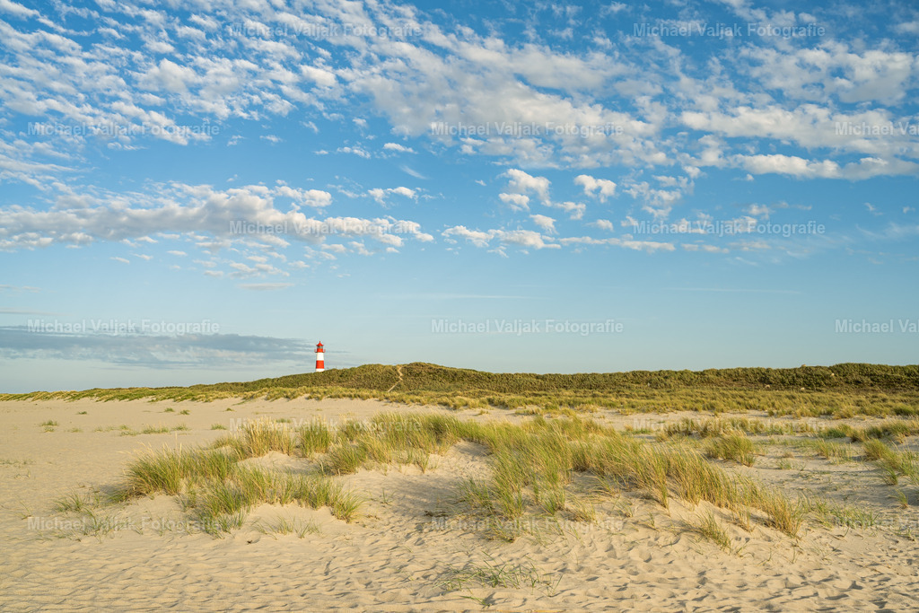 Sommerabend auf Sylt | Die warmen Sonnenstrahlen der frühen Abendsonne treffen auf die Dünen mit dem Dünengras und den Leuchturm List-Ost am Ellenbogen auf Sylt.  - Realisiert mit Pictrs.com
