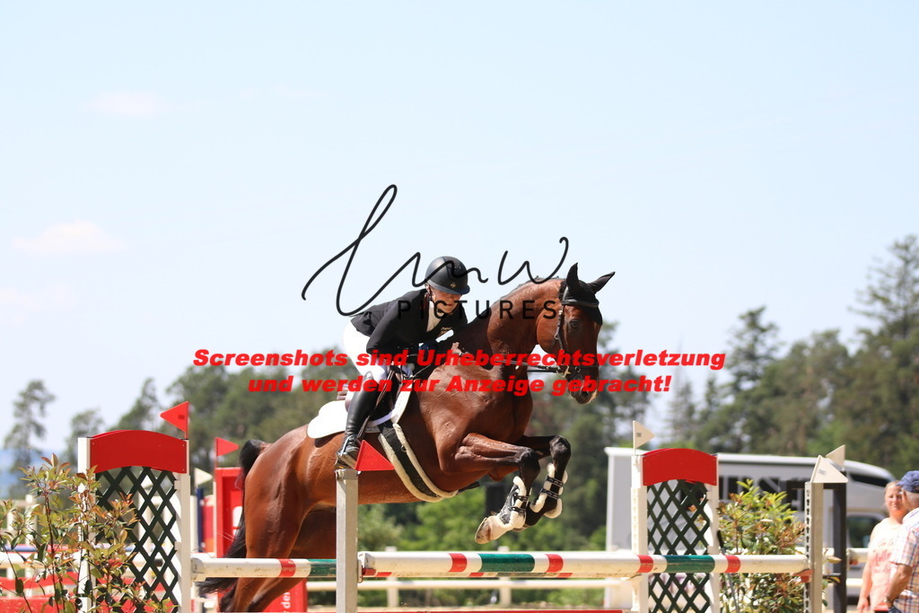 IMG_2665 | lmwpictures - Realisiert mit Pictrs.com