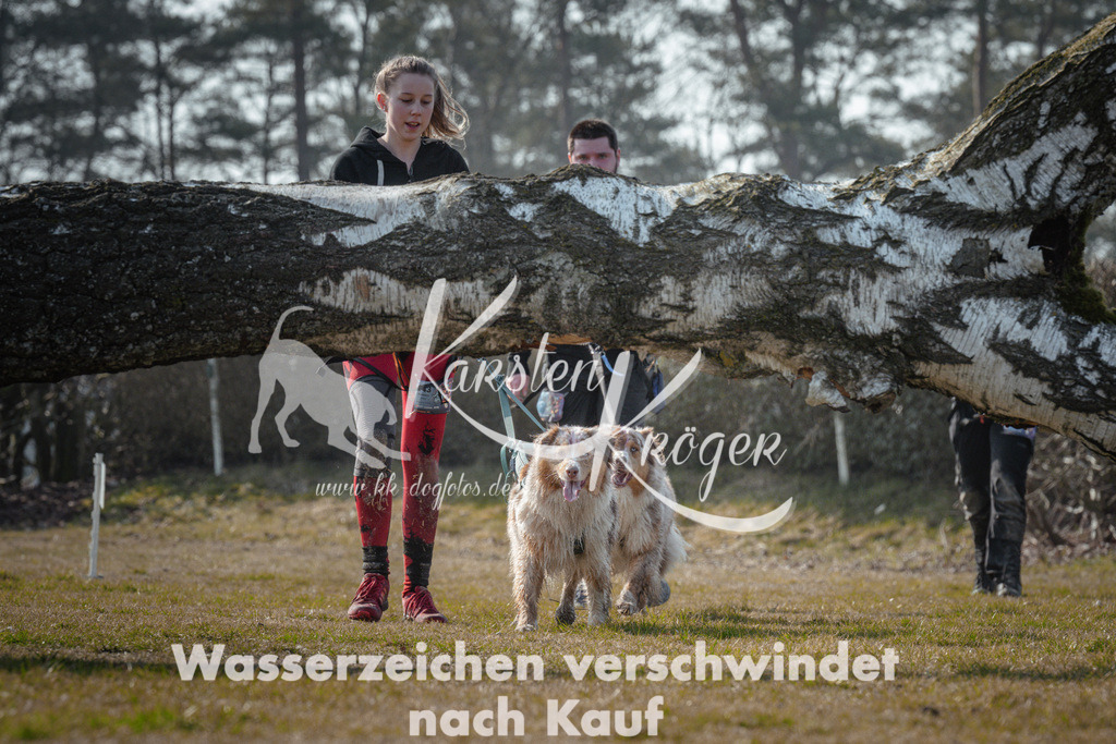 1041_ZZ93396 | kk-dogfotos