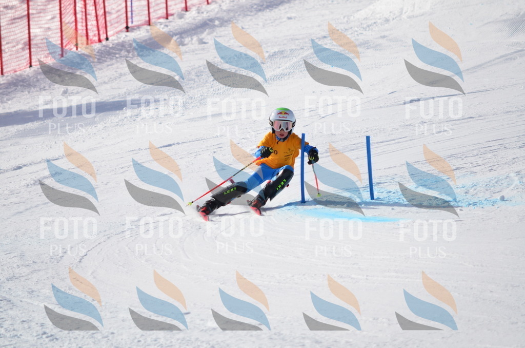 C6522 | holidayphoto